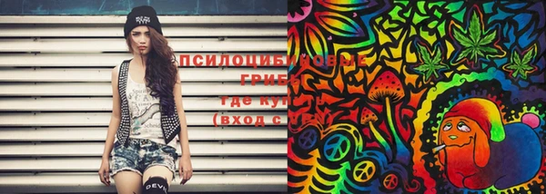 марки lsd Козельск