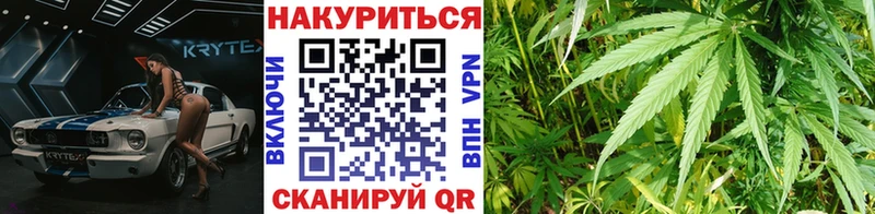 Конопля SATIVA & INDICA  где купить наркоту  Щёлково 